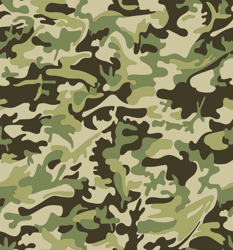 Camouflage 02