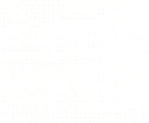 BASIC 01 BLANCO