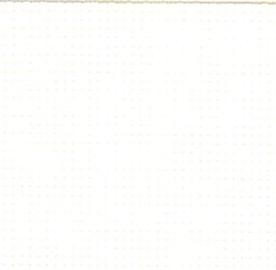 PE 3000 BLANCO 0202