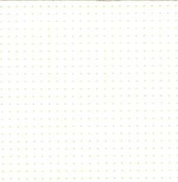 PE 4000 BLANCO 0202